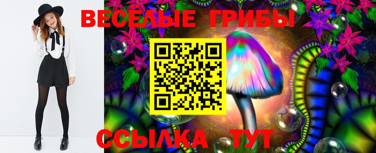 A PVP Златоуст